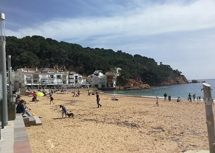 Plaja I Pati De Plaja 게스트하우스