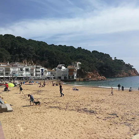 Plaja I Pati De Plaja Гостевой дом