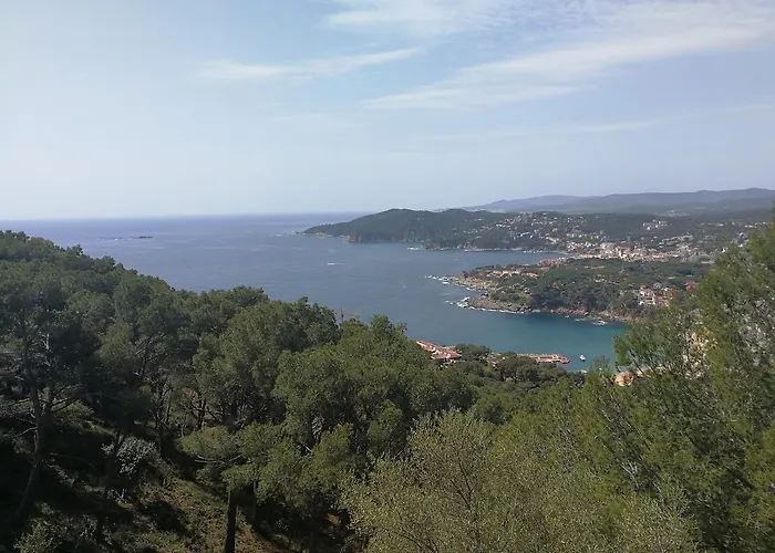 Plaja I Pati De Plaja Gæstehus
